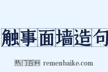 触事面墙造句是什么意思的图片